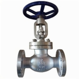 API Globe valve class300