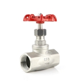 Stainless steel globe valve