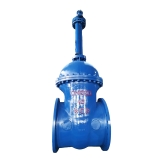 Steel Gate valve
