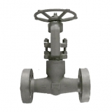 Forged steel globe valve