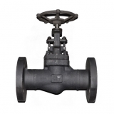 Forged steel globe valve