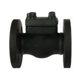 Forged steel lift check valve