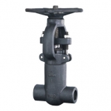 Forged steel gate valve