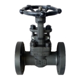 Forged steel gate valve