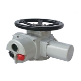Multi-turn Electric Actuator