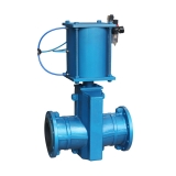 pinch valve with pneumatic actuator