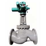 Electric actuated globe valve
